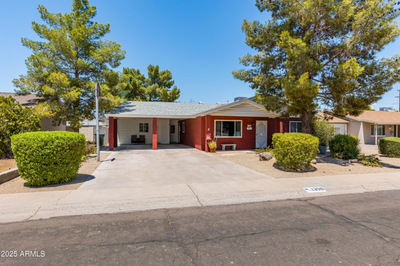 Tempe 11