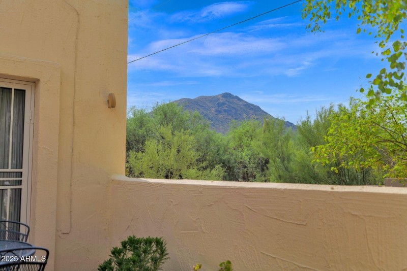 Black Mountain View from Patio