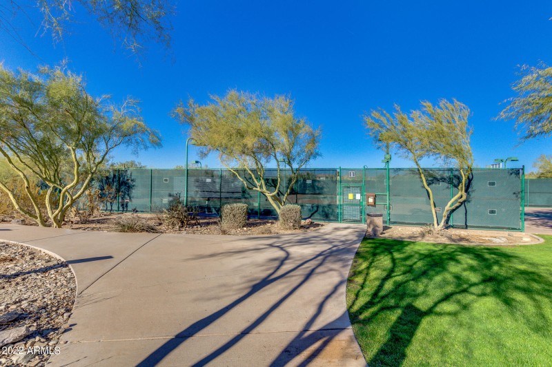 tennis and pickleball