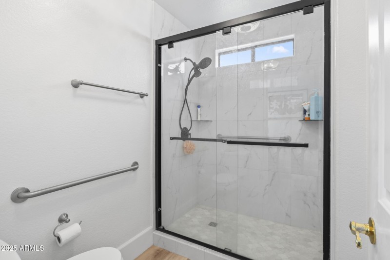 Updated Primary Shower