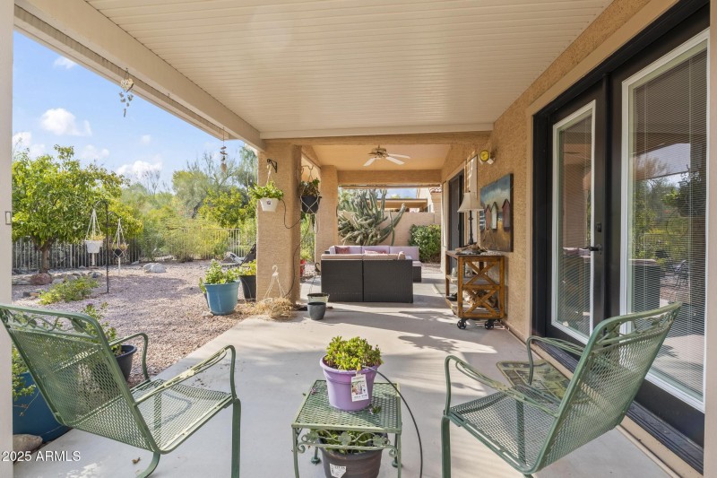 Back Patio