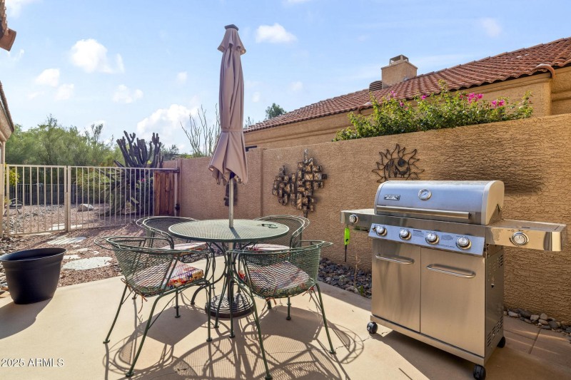 Side Patio area/Dog run