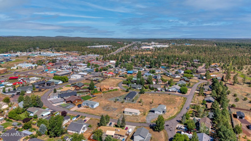 Drone View