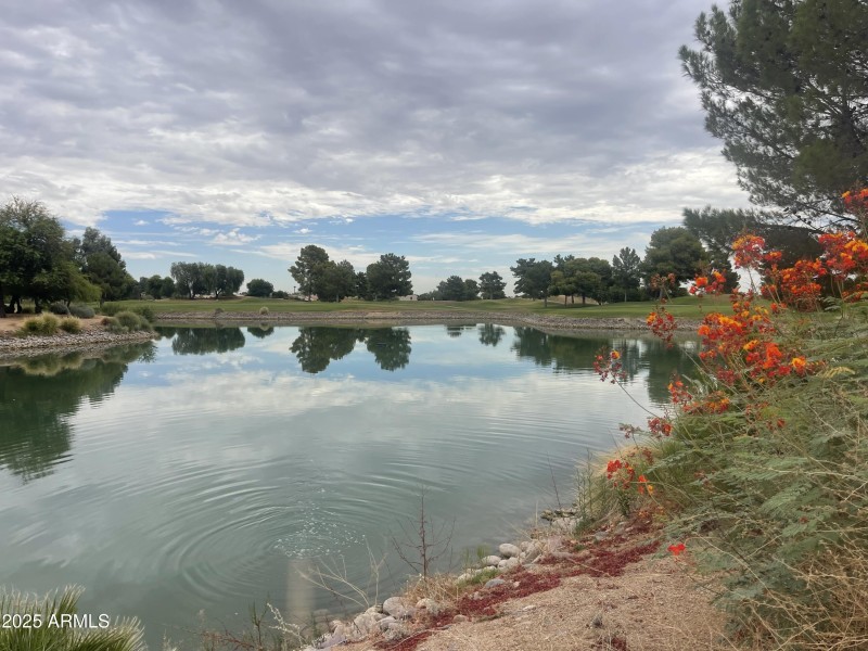 ARIZONA TRADITIONS