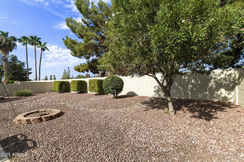 Back yard