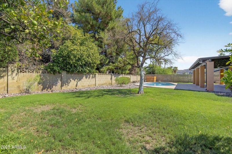 Backyard