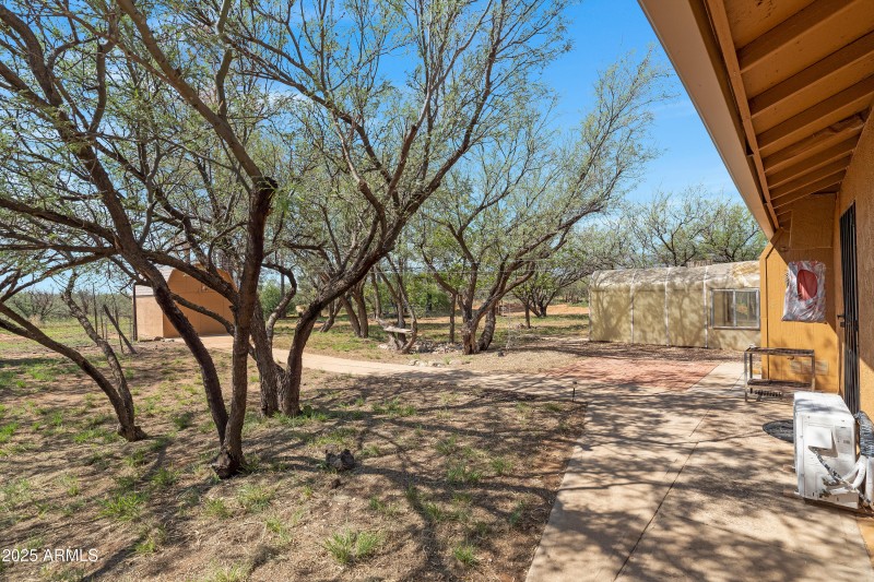 4 Backyard-1