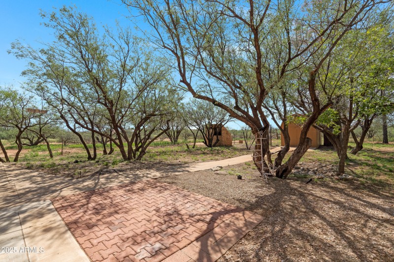 4 Backyard-2