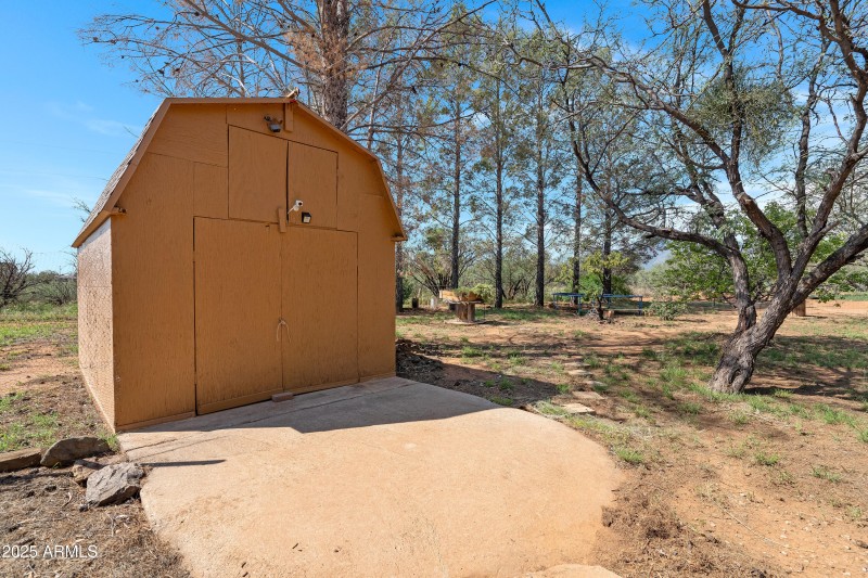 4 Backyard-3