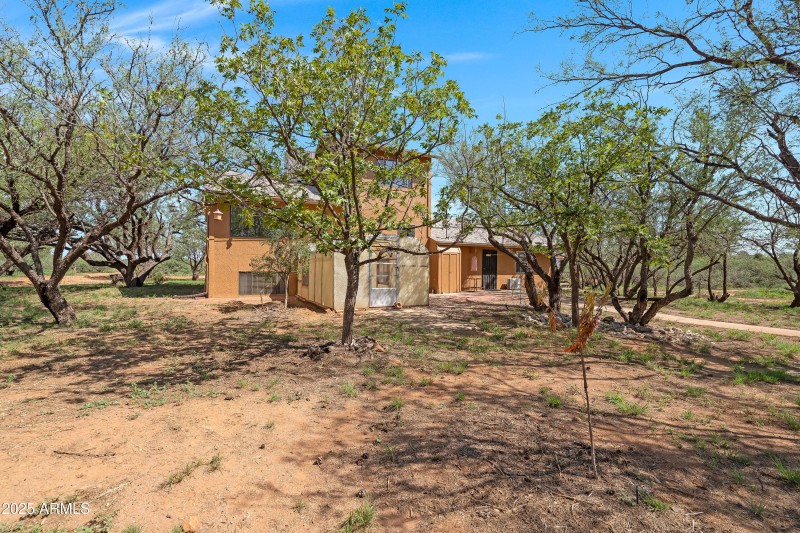 4 Backyard-6