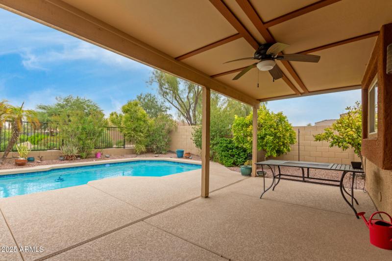 26 Backyard