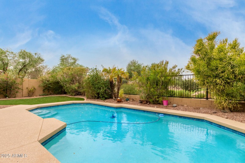29 Backyard