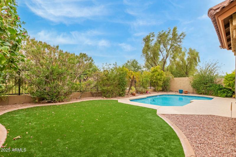 31 Backyard