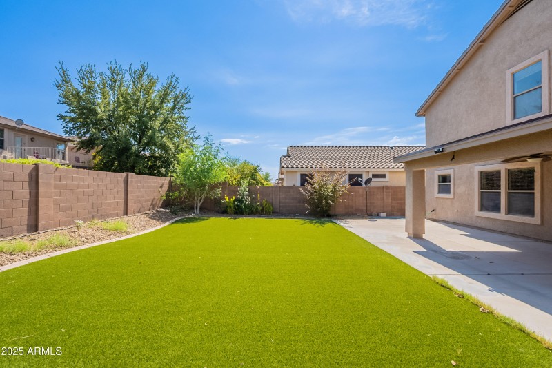 Backyard