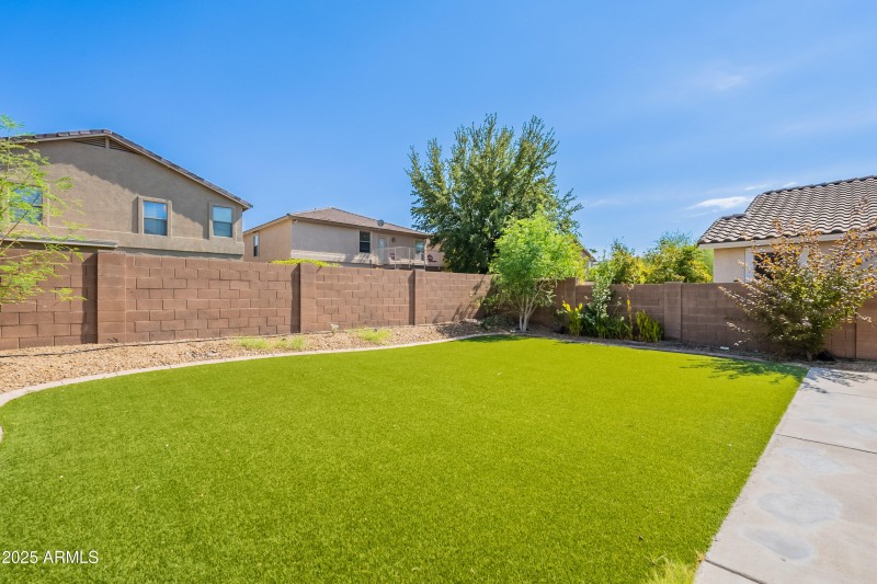 Backyard