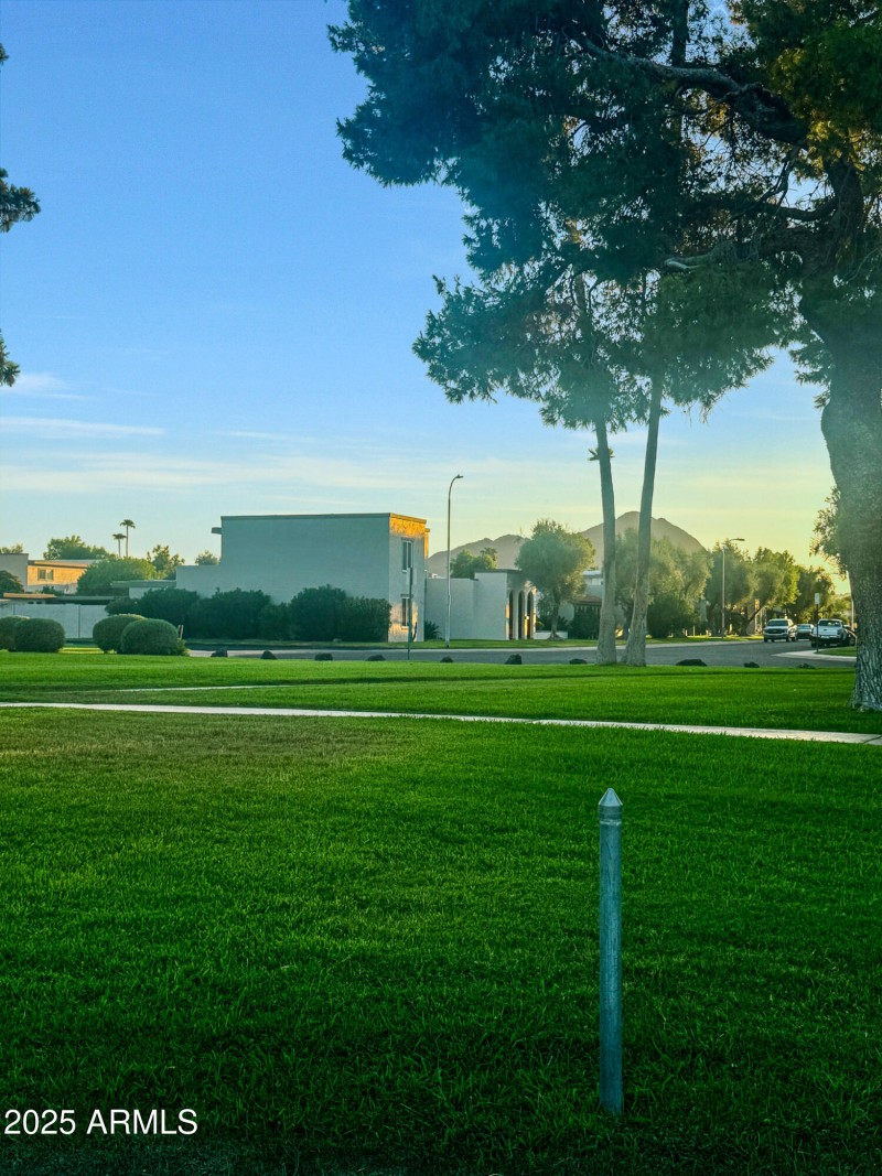 Community area
