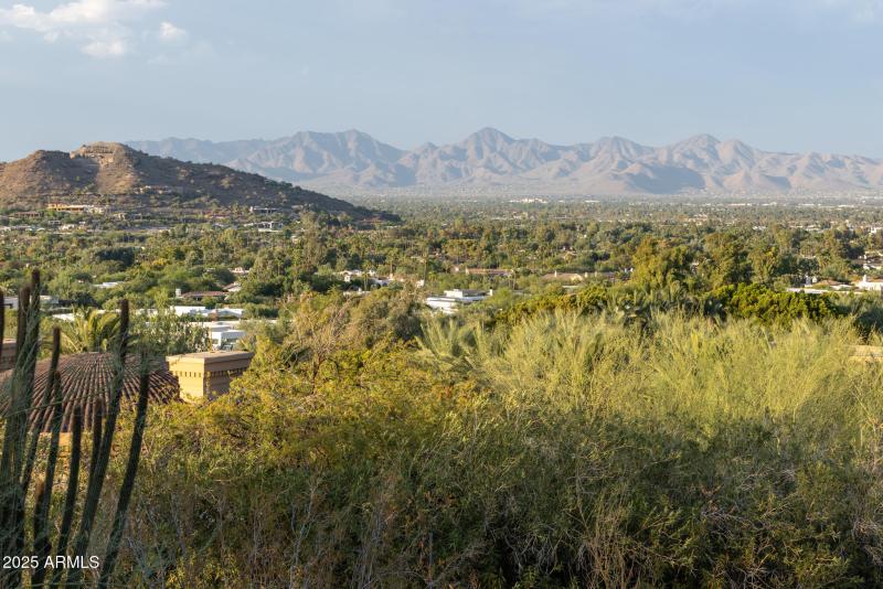 McDowell Mountains