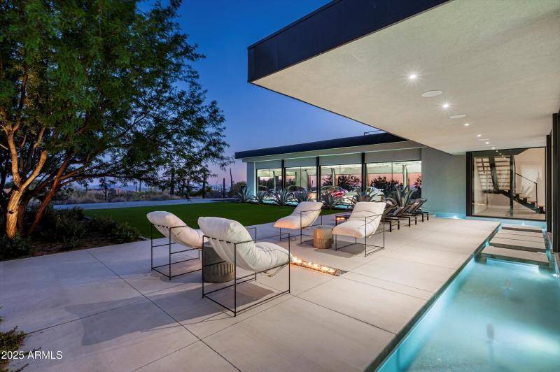 Beautiful mesquite tree!