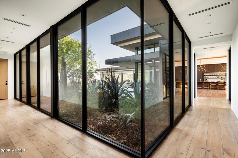 Walk past this every day from garage!