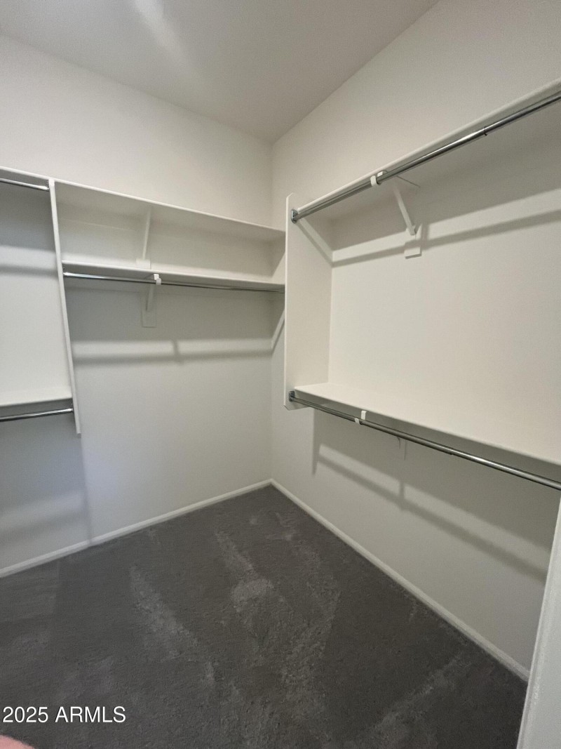 Sandhill master closet