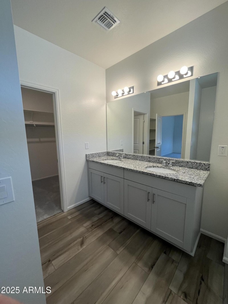 Sandhill master vanity