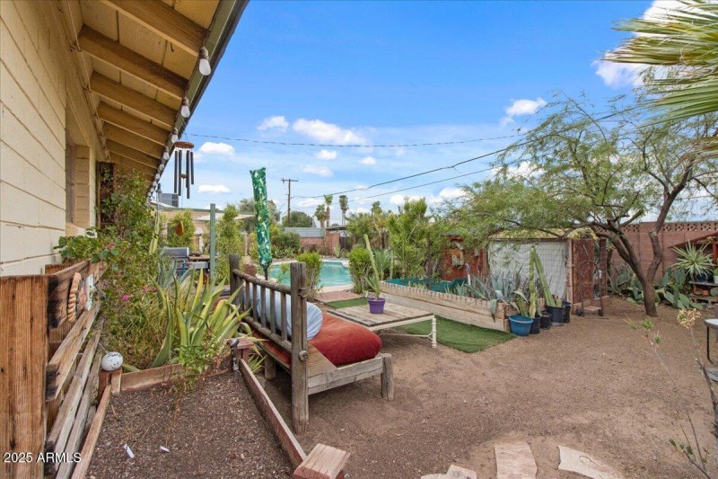 35-Back yard