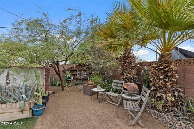 36-Back yard