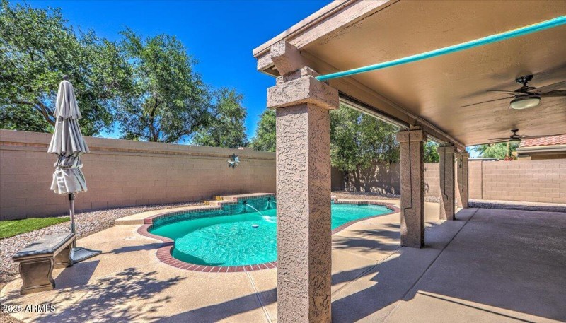 Back Yard & Patio