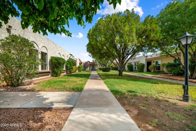 Common Area with Shade Trees