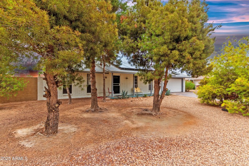Mature Trees for Privacy