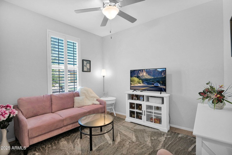 15-web-or-mls-P1281374