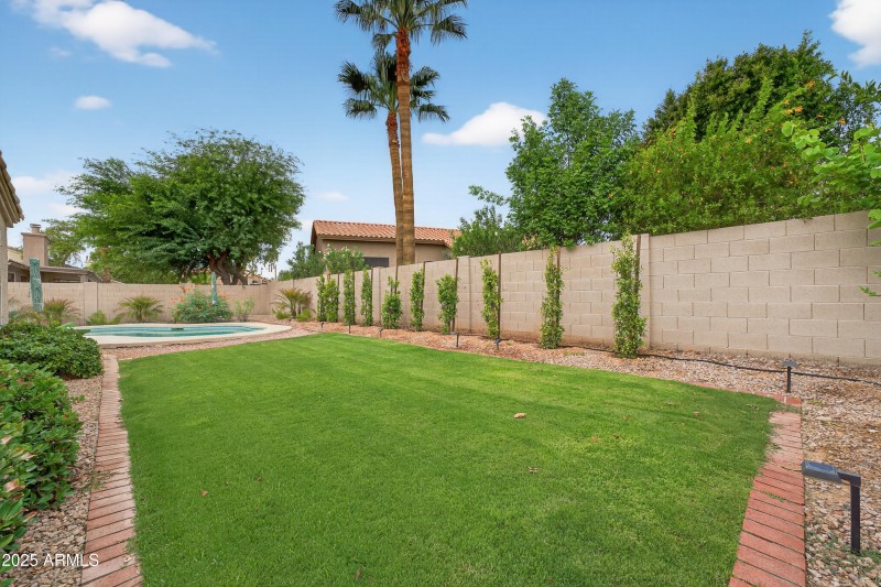 Backyard2