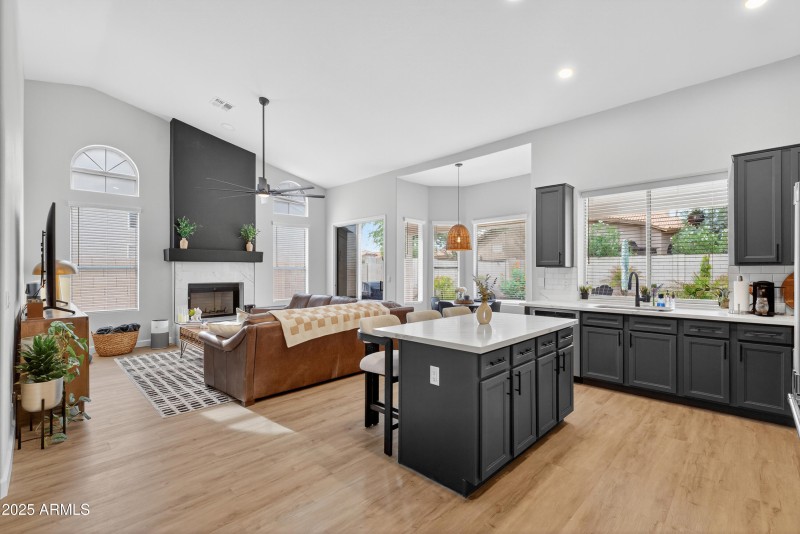 Family Room-Kitchen