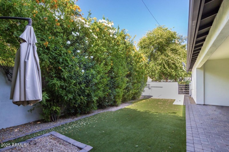 Backyard2