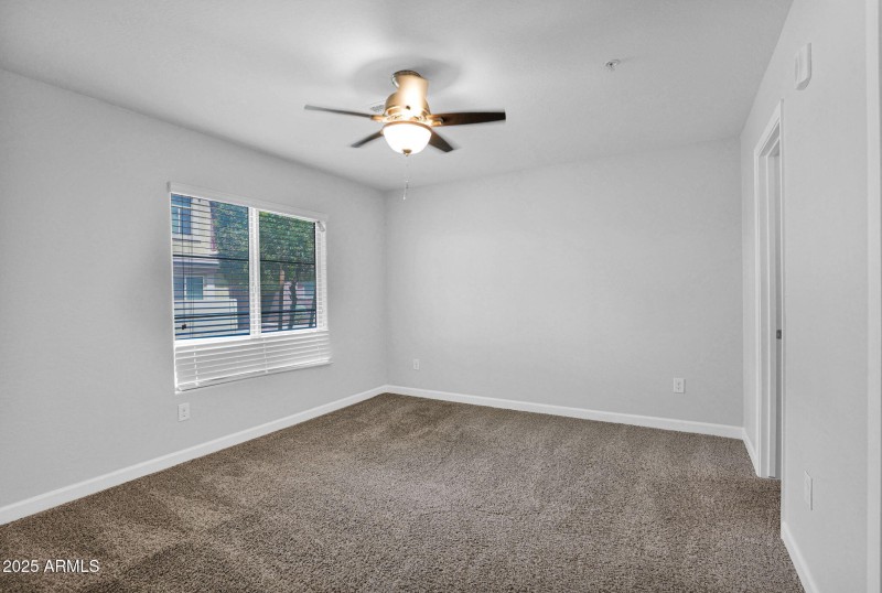 5-web-or-mls-P1281337