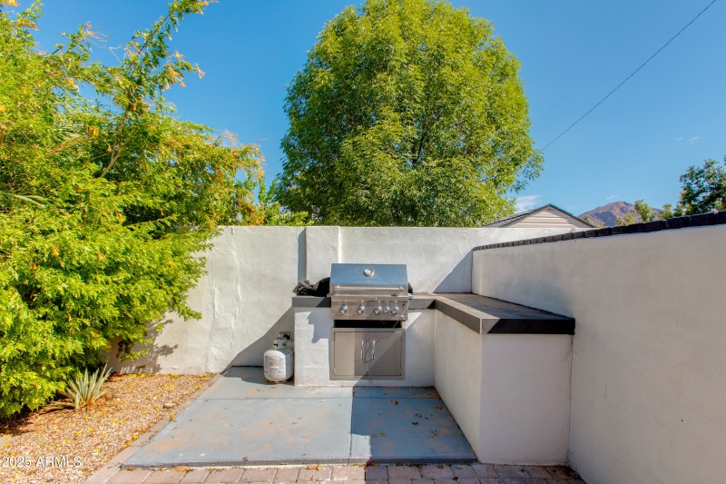 Built-in BBQ