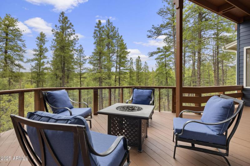 Ponderosa Pines