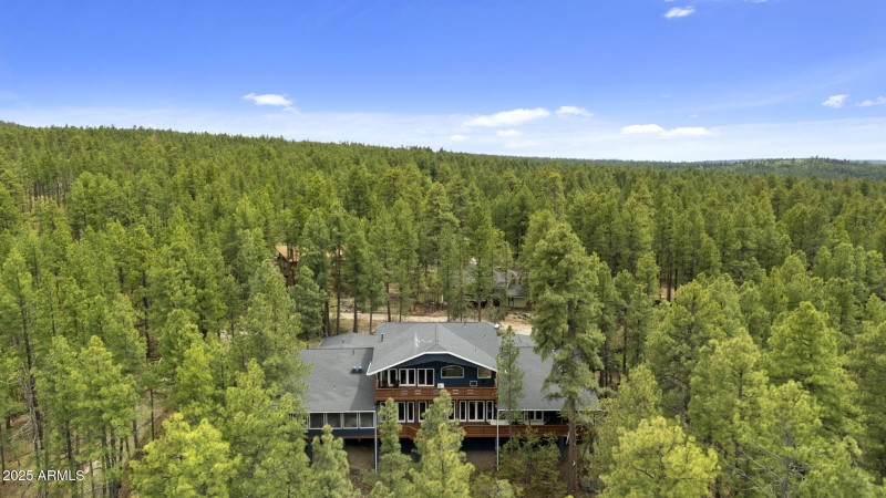 Surrounded by trees