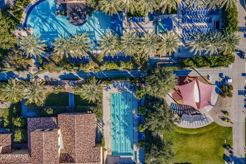 Lap and Solaz pool