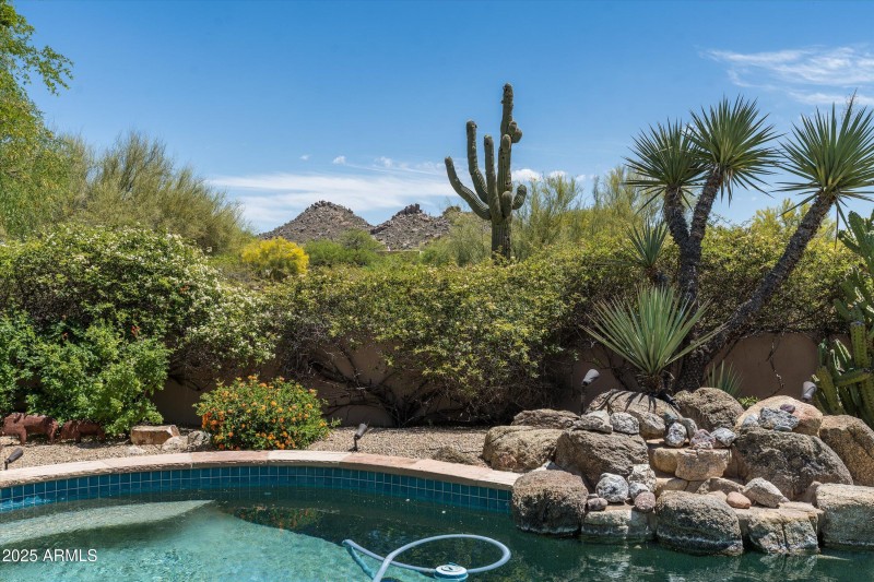 Desert Oasis