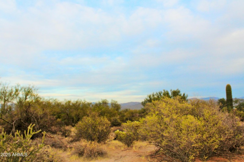 Desert Lifestyle Living