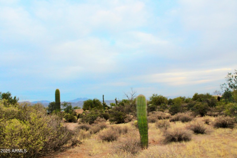Beautiful Desert Landscape