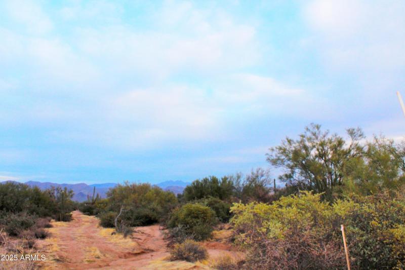 Desert Lifestyle Living