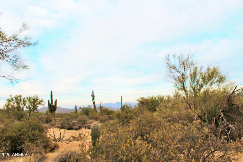 Peaceful Desert Living