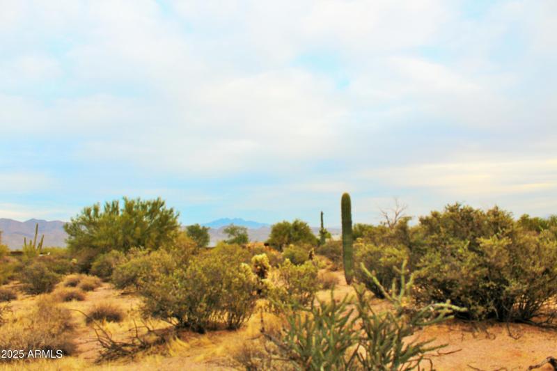 Beautiful Desert Landscape
