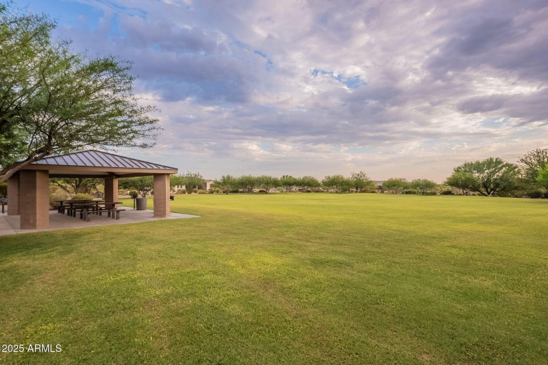 Community Field