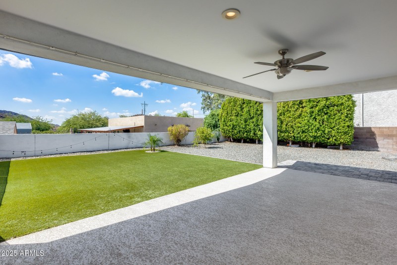 Backyard