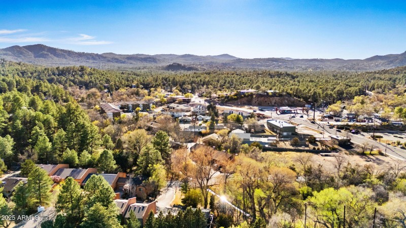 AERIAL