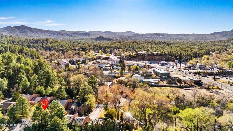 AERIAL