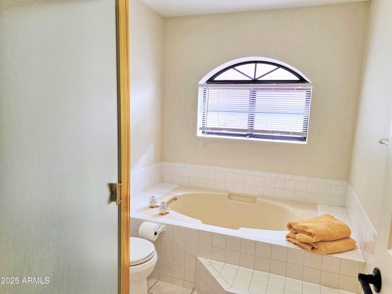 Primary Tub 2 - Copy